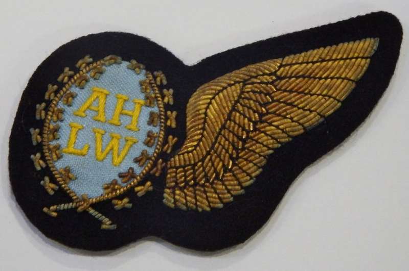 SA Air Force Air Hostess bullion wing