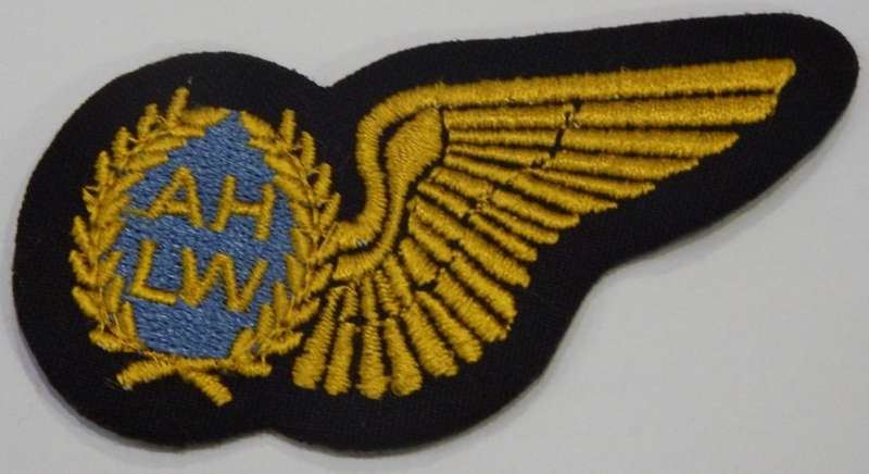 SA Air Force Hostess gold type cloth wing