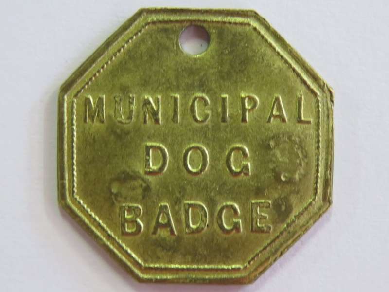 1904 Municipal dog badge/licence #C609