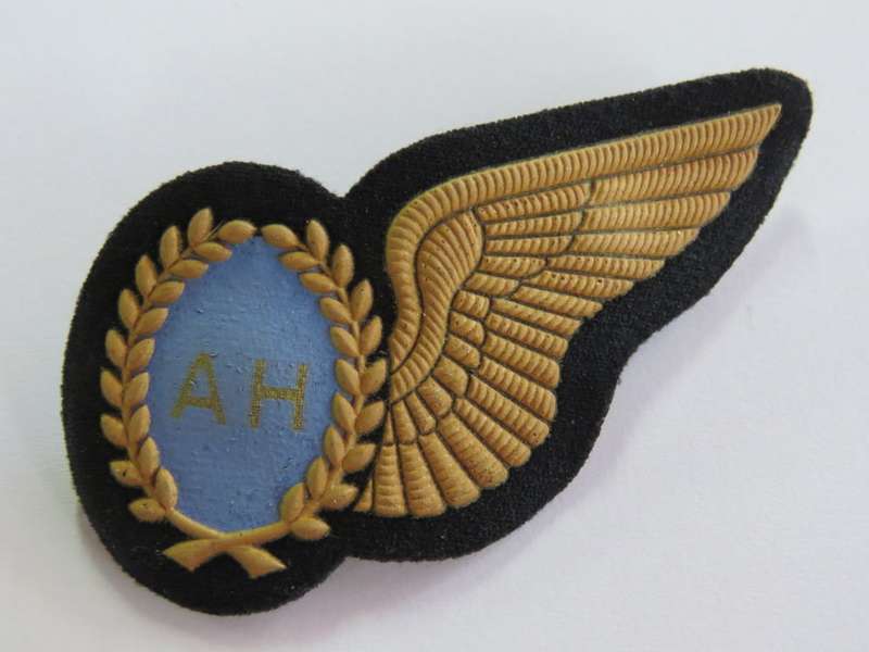SA Air Force Air Hostess tupperware wing