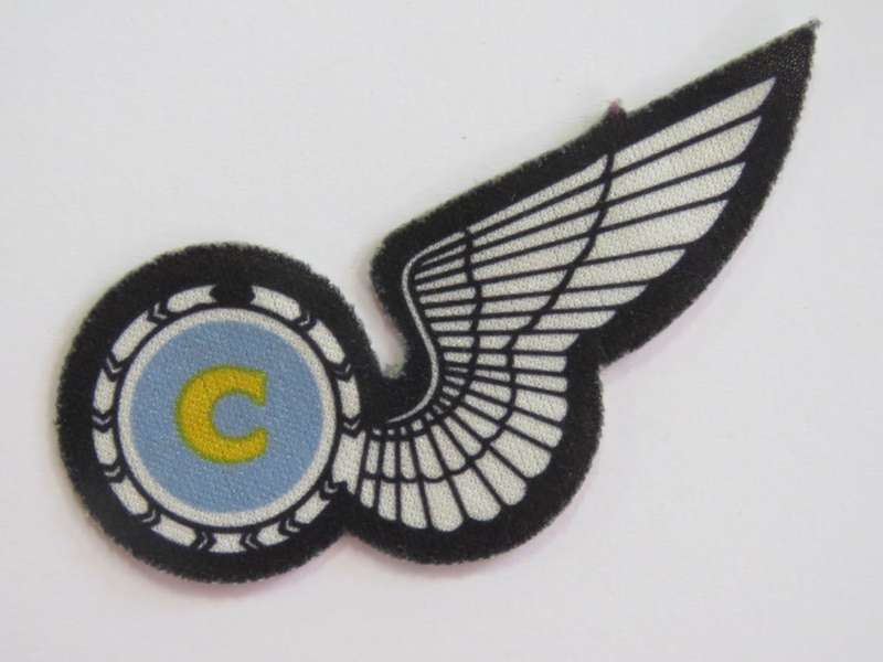 SA Air Force Chef printed wing