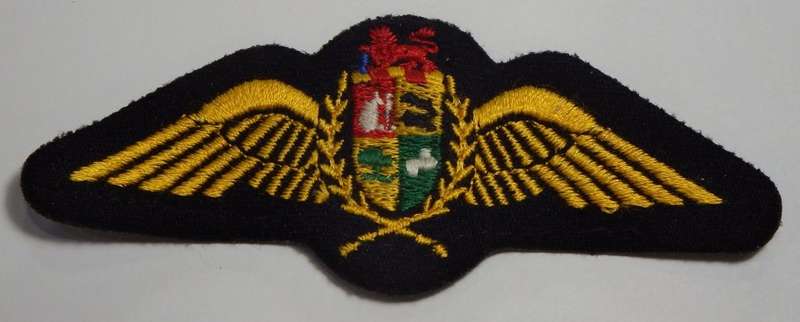 SA Air Force pilot wings - Embroidered cloth