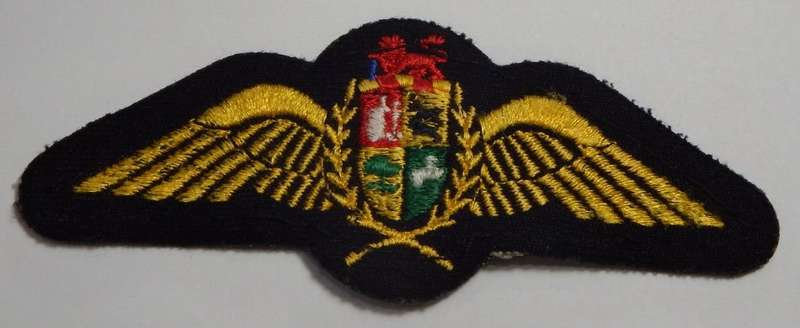 SA Air Force Pilot wings - Embroidered cloth