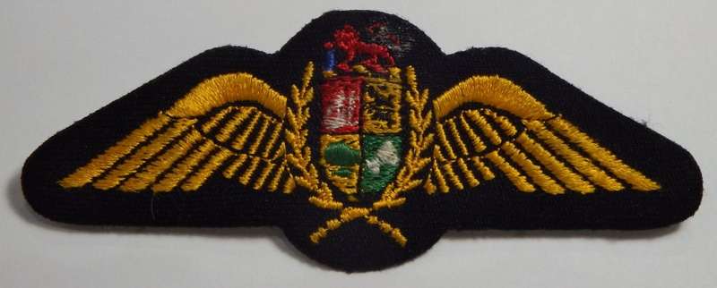 SA Air Force Pilot wings - Cloth with pins