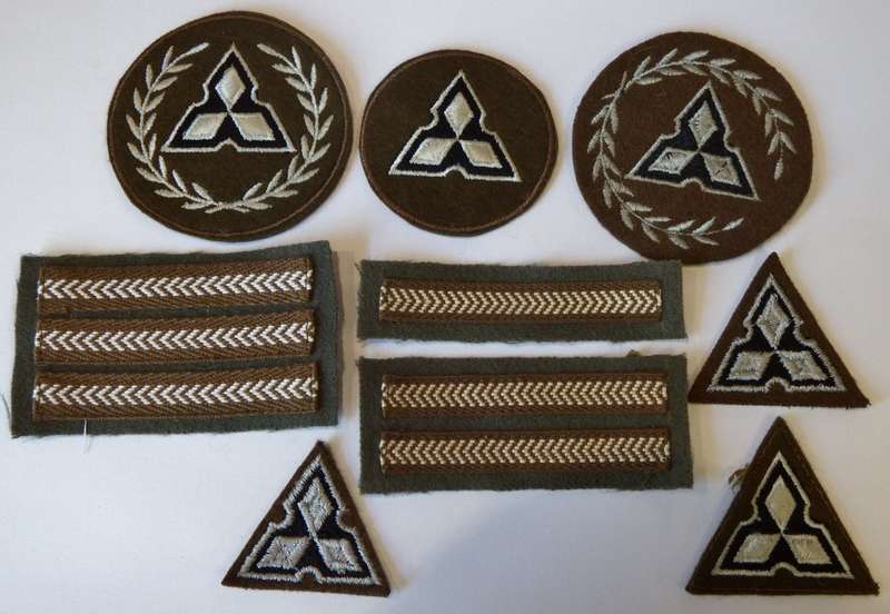 Lot of SWATF rank badges