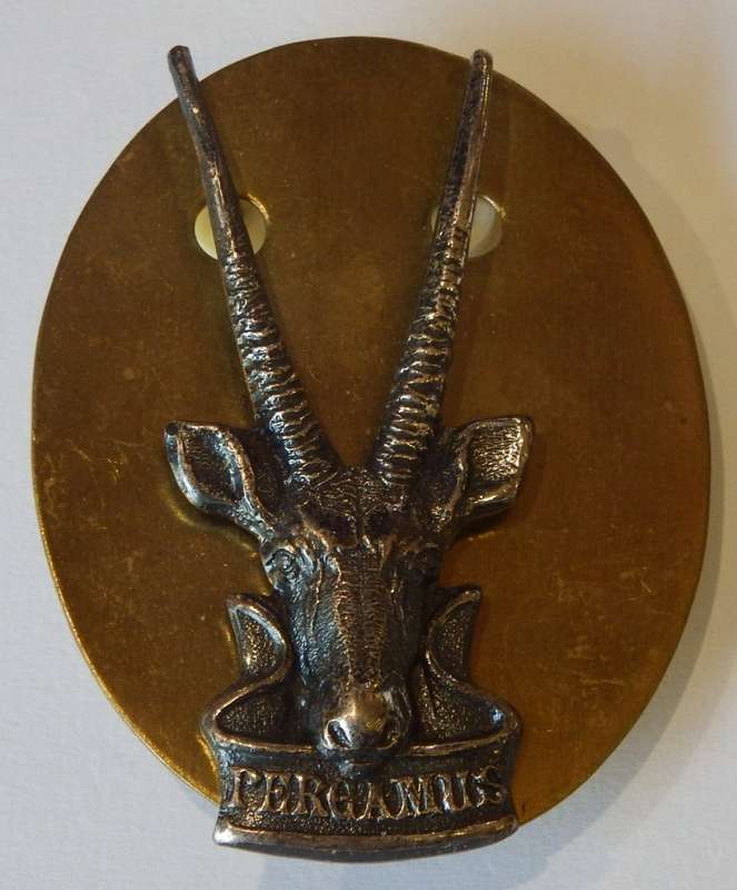 SWATF HQ cap badge