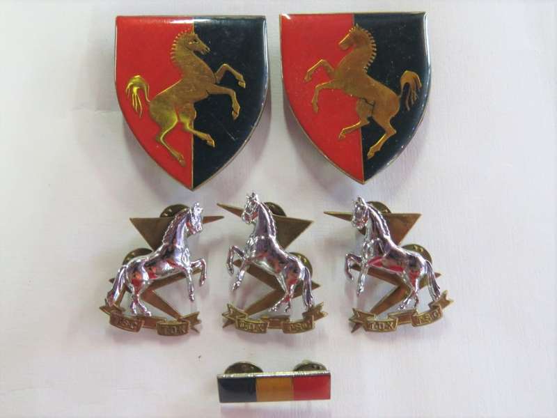 Set of SADF Technical Services Corps TDK insignia -Beret badge and balkie, collar badges and flashes