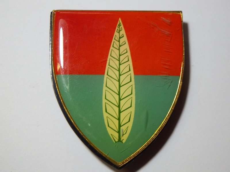 SADF 10 Artillery Air Defence school shoulder flash