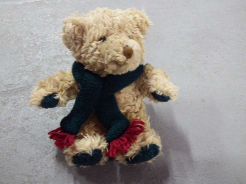 Commonwealth plush teddy bear with scarf