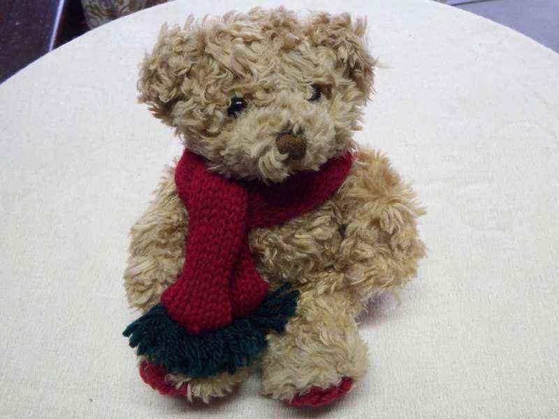 Commonwealth plush teddy bear with scarf