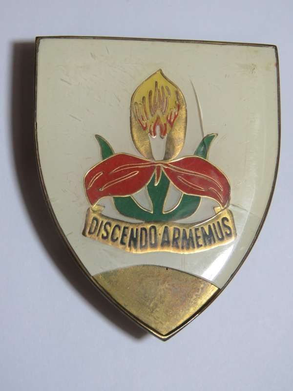 SA Military Academy shoulder flash - Cracked