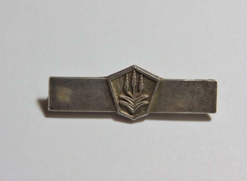 SA Police combatting terrorism medal bar