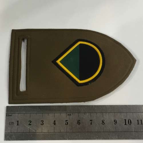 SADF Infantry D-Company tupperware flash