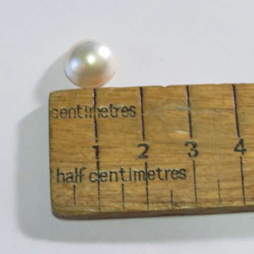 Mabe Pearl - Round - 11.74mm diameter - 5.8mm heigh