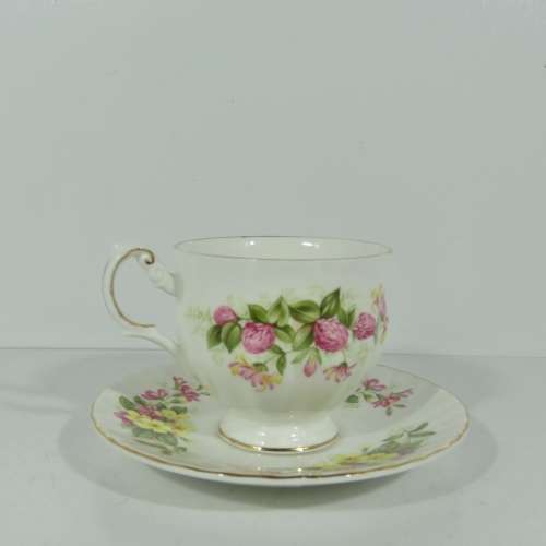 Queens Bone china porcelain duo