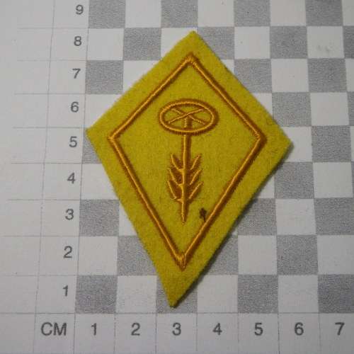 Lot of 6 Swiss Army badges
