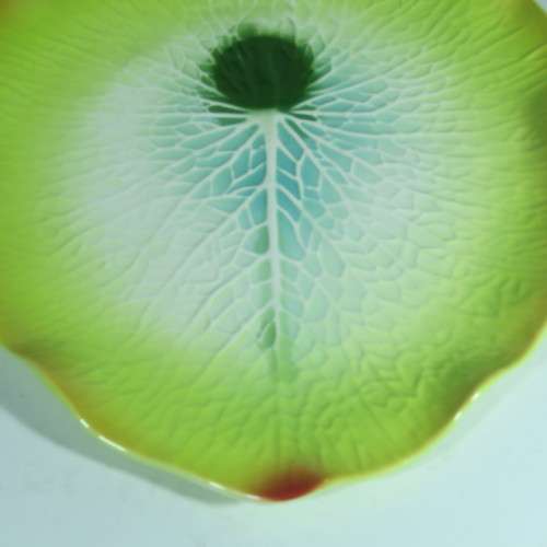 Mustardseed and Moonshine porcelain platter - Made in South Africa