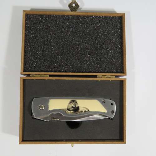 Lion pocket knife in presentation box