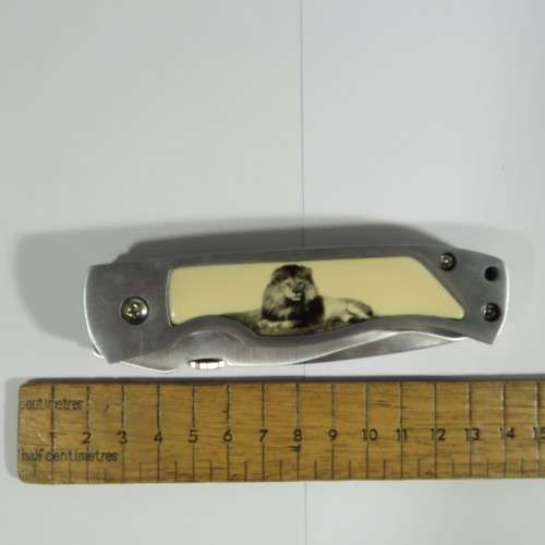 Lion pocket knife in presentation box