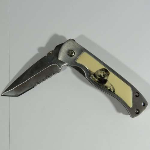 Lion pocket knife in presentation box