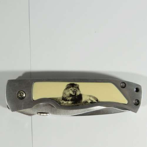 Lion pocket knife in presentation box