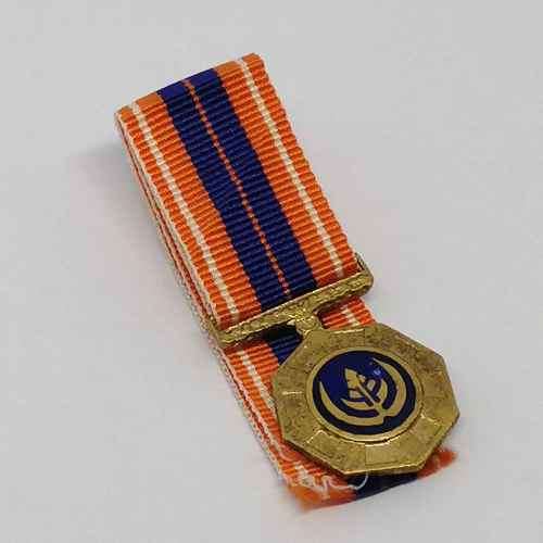 SADF Pro Patria miniature medal