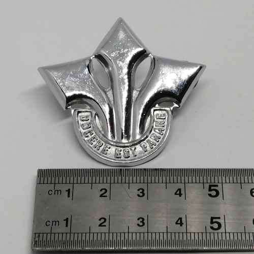 SADF Corps of professional officers cap badge