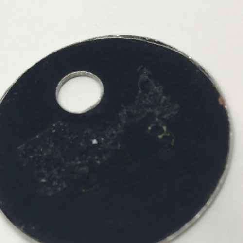1989 Montagu Municipality dog license token #213