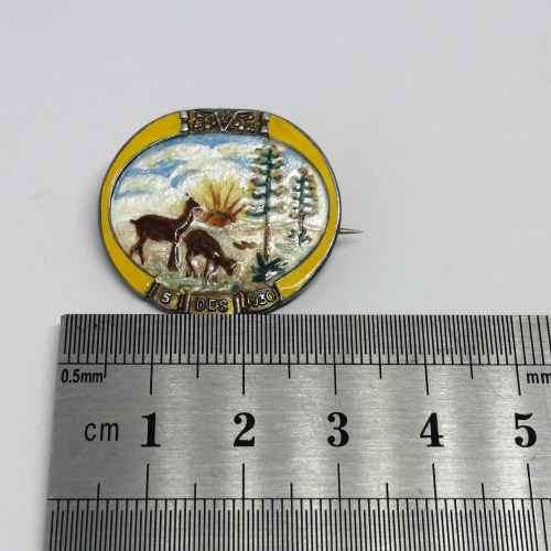 1930 Free State Woman`s Agricultural Union enamelled lapel badge - rarely seen