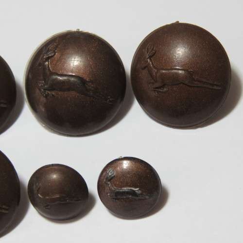 South African Defense Force Springbok buttons - Lot of 6 scarce brown plastic buttons