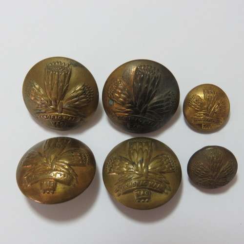 South African Defense Force lot of 6 Special Service Battalion buttons