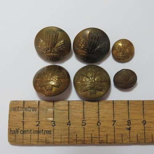 South African Defense Force lot of 6 Special Service Battalion buttons