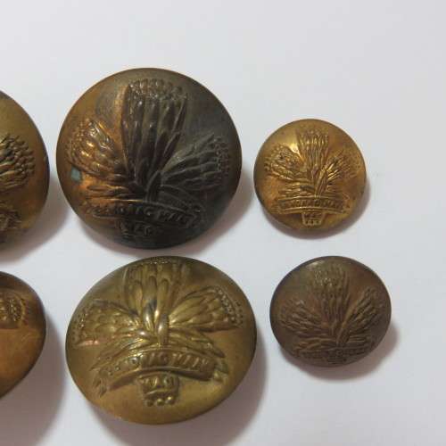 South African Defense Force lot of 6 Special Service Battalion buttons