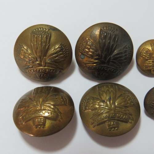 South African Defense Force lot of 6 Special Service Battalion buttons