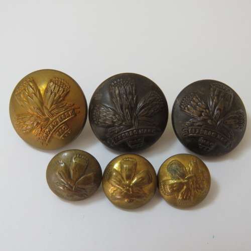South African Defense Force Special Service Battalion - Lot of 6 buttons