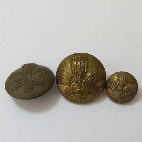South African Defense Force Special Service Battalion - Lot of 3 buttons - 2 Large and 1 small