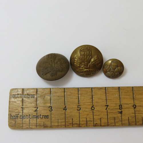 South African Defense Force Special Service Battalion - Lot of 3 buttons - 2 Large and 1 small