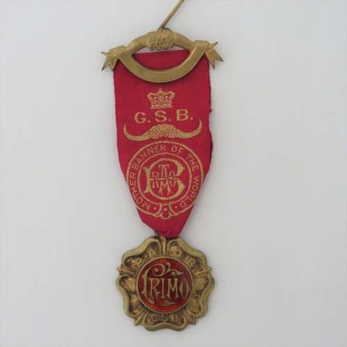 Royal Antediluvian Order of Buffaloes set with medals and accessories
