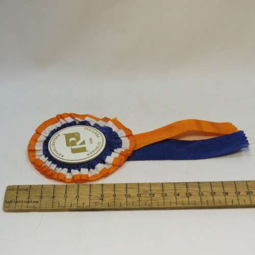 SA Feesspele 1981 pin badge, rosette, blazer badge, booklet, closing program and joint 20 year / Vol