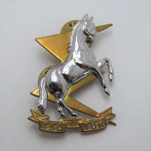 SA Technical Service Corps collar badge - Bi-metal