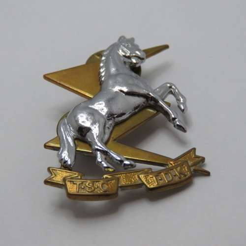 SA Technical Service Corps collar badge - Bi-metal