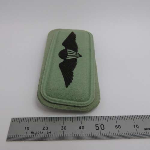 SANDF Paratrooper freefall qualification wing
