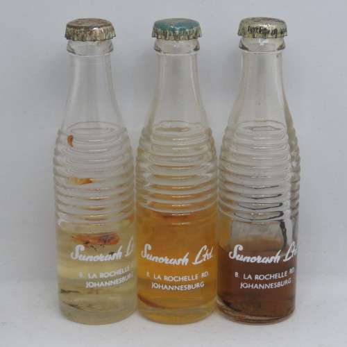 Lot of 3 vintage Suncrush Special miniature cooldrink bottles