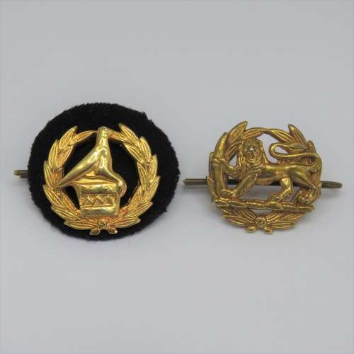 Rhodesia RSAP and Zimbabwe Republic Police Officer rank badges