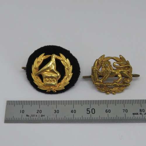 Rhodesia RSAP and Zimbabwe Republic Police Officer rank badges