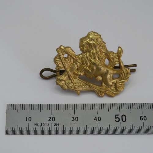 Rhodesia BSAP cap badge