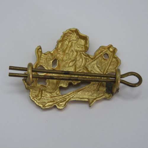 Rhodesia BSAP cap badge