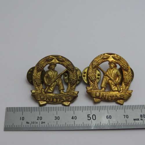 Pair of SADF commando collar badges