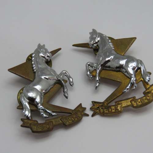 Pair of SA Technical Services collar badges