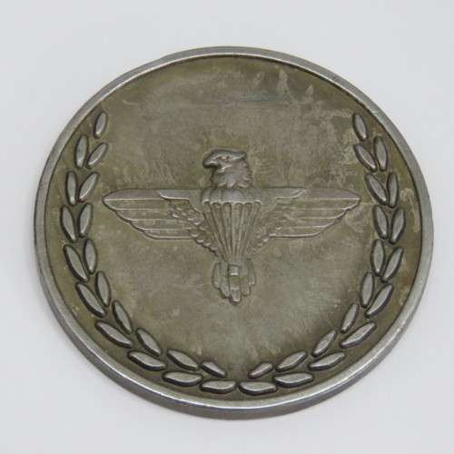 44 Parachute brigade PISA medallion